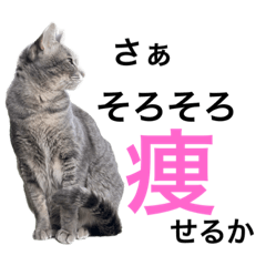 [LINEスタンプ] しもてぃーず12