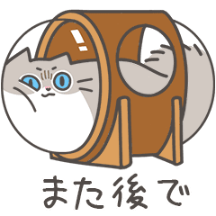 [LINEスタンプ] 動く❤ MYZOOねこスタンプ