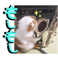 [LINEスタンプ] いまいま家のこどもたち