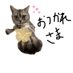 [LINEスタンプ] ビビキュートスタンプ3