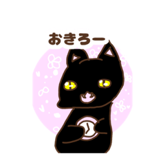 [LINEスタンプ] 人によっては使えないスタンプ！黒猫のくね