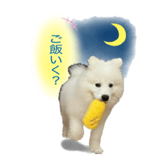 [LINEスタンプ] おさものダッツ(3〜4month）