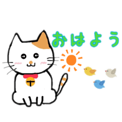[LINEスタンプ] 猫さん日本語の画像（メイン）