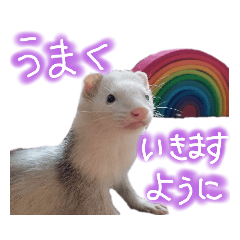 [LINEスタンプ] ていねいなフェレット  ひゃっ吉 いたち