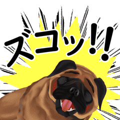 [LINEスタンプ] パグ犬のももすけ