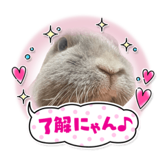 [LINEスタンプ] みうのららちゃん
