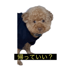 [LINEスタンプ] 早く帰りたいチャーさんのスタンプ