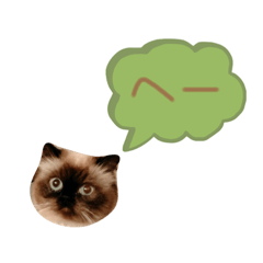 [LINEスタンプ] ひまちゃんの相槌
