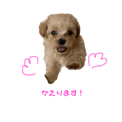 [LINEスタンプ] ぽよ助よろの助