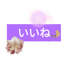 [LINEスタンプ] 毎日使える⭐lineスタンプ