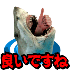 [LINEスタンプ] 動く！サメ3D 敬語バージョンの画像（メイン）