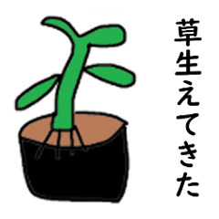 [LINEスタンプ] ぴりたぁスタンプ