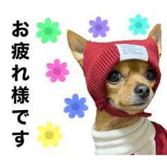 [LINEスタンプ] マロちゃんパート4