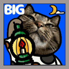 [LINEスタンプ] キジトラ猫BIG11(敬語)