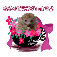 [LINEスタンプ] 愛くるしい動物たちのスタンプ❷