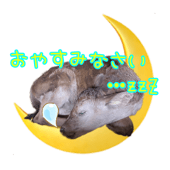 [LINEスタンプ] 牛飼スタンプ1