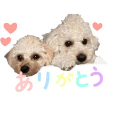 [LINEスタンプ] ソイチャイのスタンプ