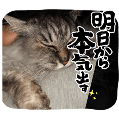 [LINEスタンプ] みんとの時間