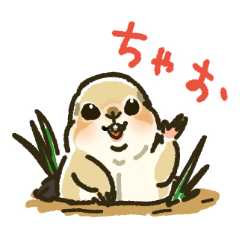 [LINEスタンプ] ジリスちゃんLINEスタンプ1