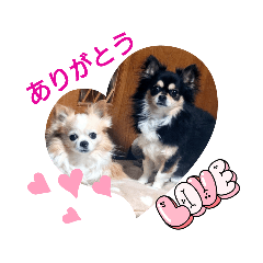 [LINEスタンプ] ジャビとココ