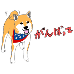 [LINEスタンプ] きんたら×くんた×だいきち