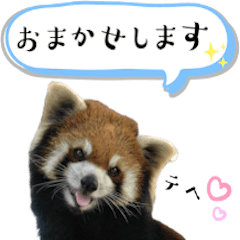 [LINEスタンプ] 市川市動植物園スタンプ  第2弾 敬語特集の画像（メイン）