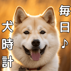 [LINEスタンプ] BIG♪毎日犬時計