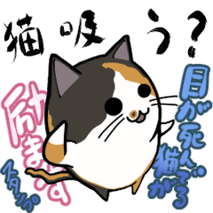 [LINEスタンプ] 目が死んでいる猫が励ます