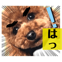 [LINEスタンプ] モカちゃんお気に入り
