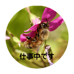 [LINEスタンプ] リアル虫虫スタンプ