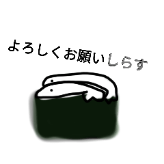 [LINEスタンプ] おしゅし(お寿司)スタンプ