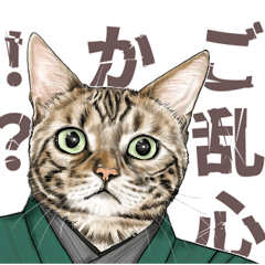 [LINEスタンプ] お江戸編 猫にまみれたがりのスタンプ