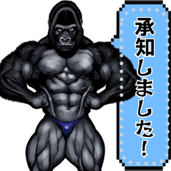 [LINEスタンプ] 筋肉マッチョゴリラ メッセージスタンプ