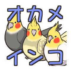 [LINEスタンプ] オカメインコず(日常系)