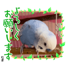 [LINEスタンプ] むぎちゃんスタンプ5