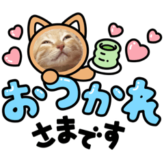 [LINEスタンプ] こむぎの変顔【修正版】