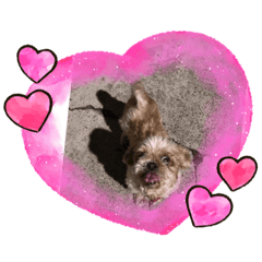 [LINEスタンプ] 最愛的小狗