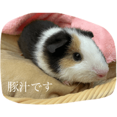 [LINEスタンプ] 豚汁くんの日常