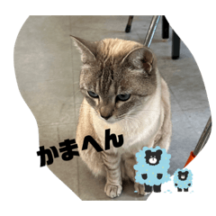 [LINEスタンプ] のりお＆あさり関西弁