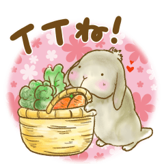 [LINEスタンプ] 垂れ耳うさぎもちさまスタンプ