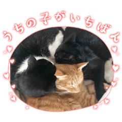 [LINEスタンプ] さぶこたちぃのあ