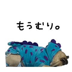 [LINEスタンプ] 反抗期ぱぐきん