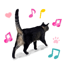 [LINEスタンプ] 【猫】キジトラきょうだい