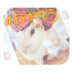 [LINEスタンプ] うさふぁむ