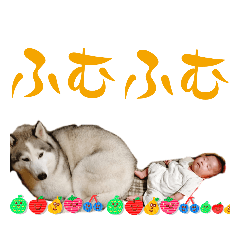 [LINEスタンプ] ハスキーと赤ちゃん
