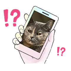 [LINEスタンプ] 推しのフクちゃん