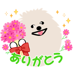 [LINEスタンプ] 可愛いポメラニアン2