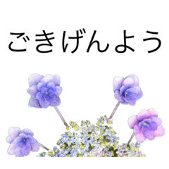 [LINEスタンプ] 花 dodoスタンプ295flowerの画像（メイン）