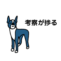 [LINEスタンプ] 賢く暮らしたい犬