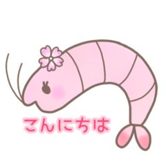 [LINEスタンプ] さくらえびスタンプ1